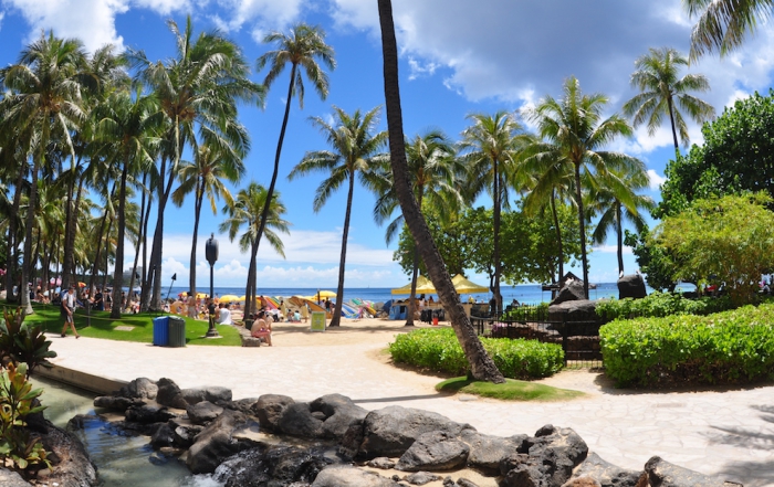 charter flights to hawaii