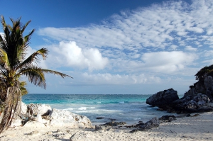caribbean